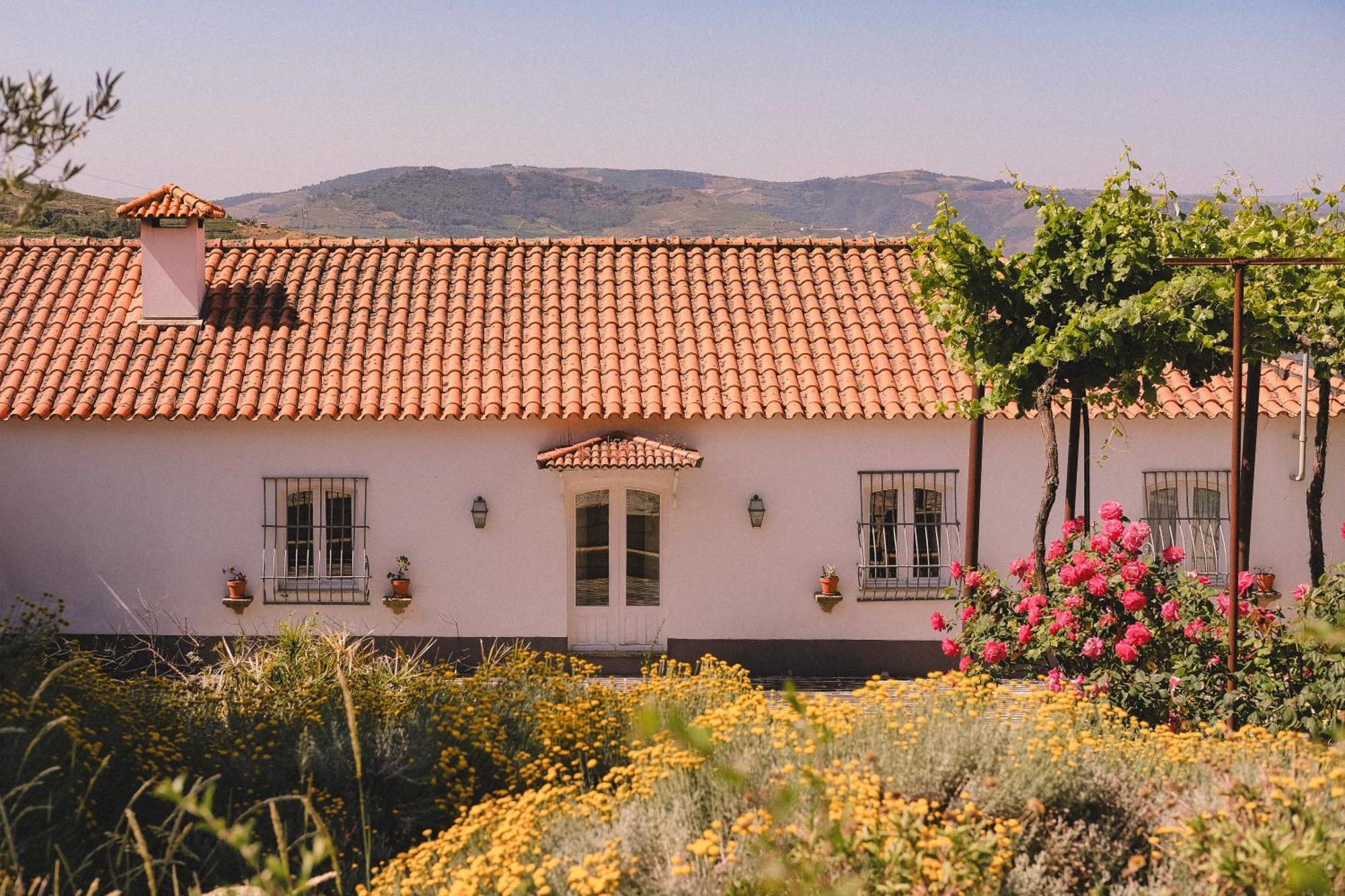 Casal De Tralhariz - Douro Valley エクステリア 写真