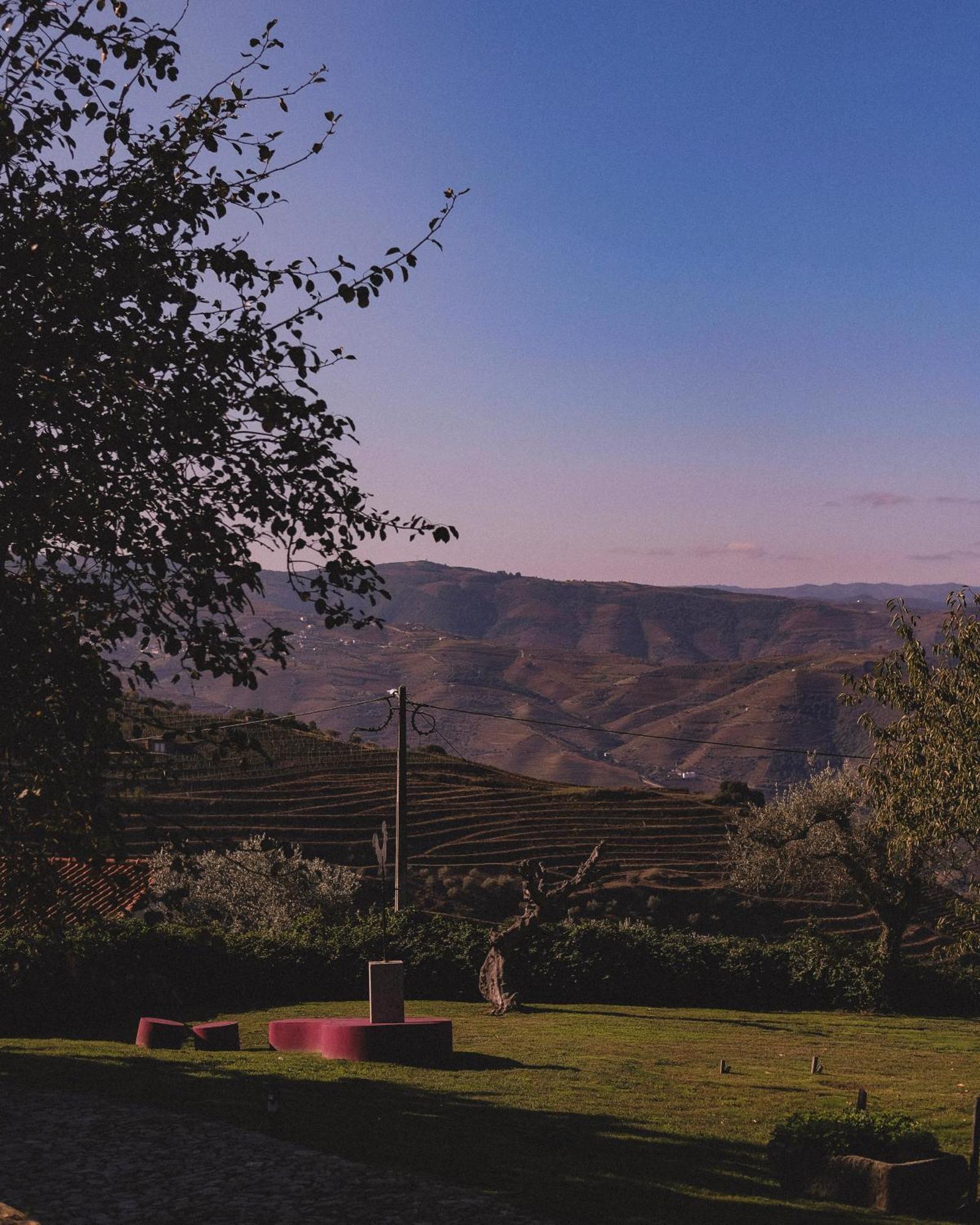 Casal De Tralhariz - Douro Valley エクステリア 写真