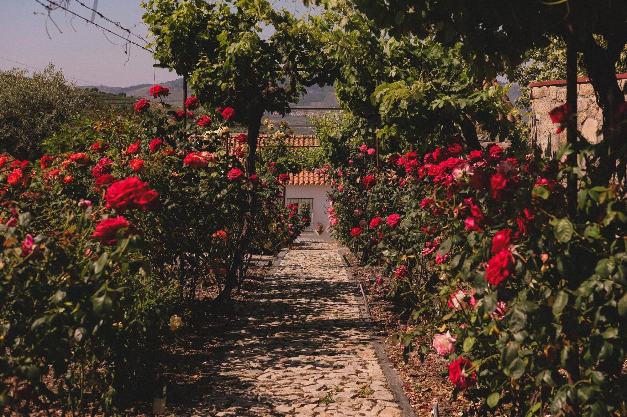 Casal De Tralhariz - Douro Valley エクステリア 写真