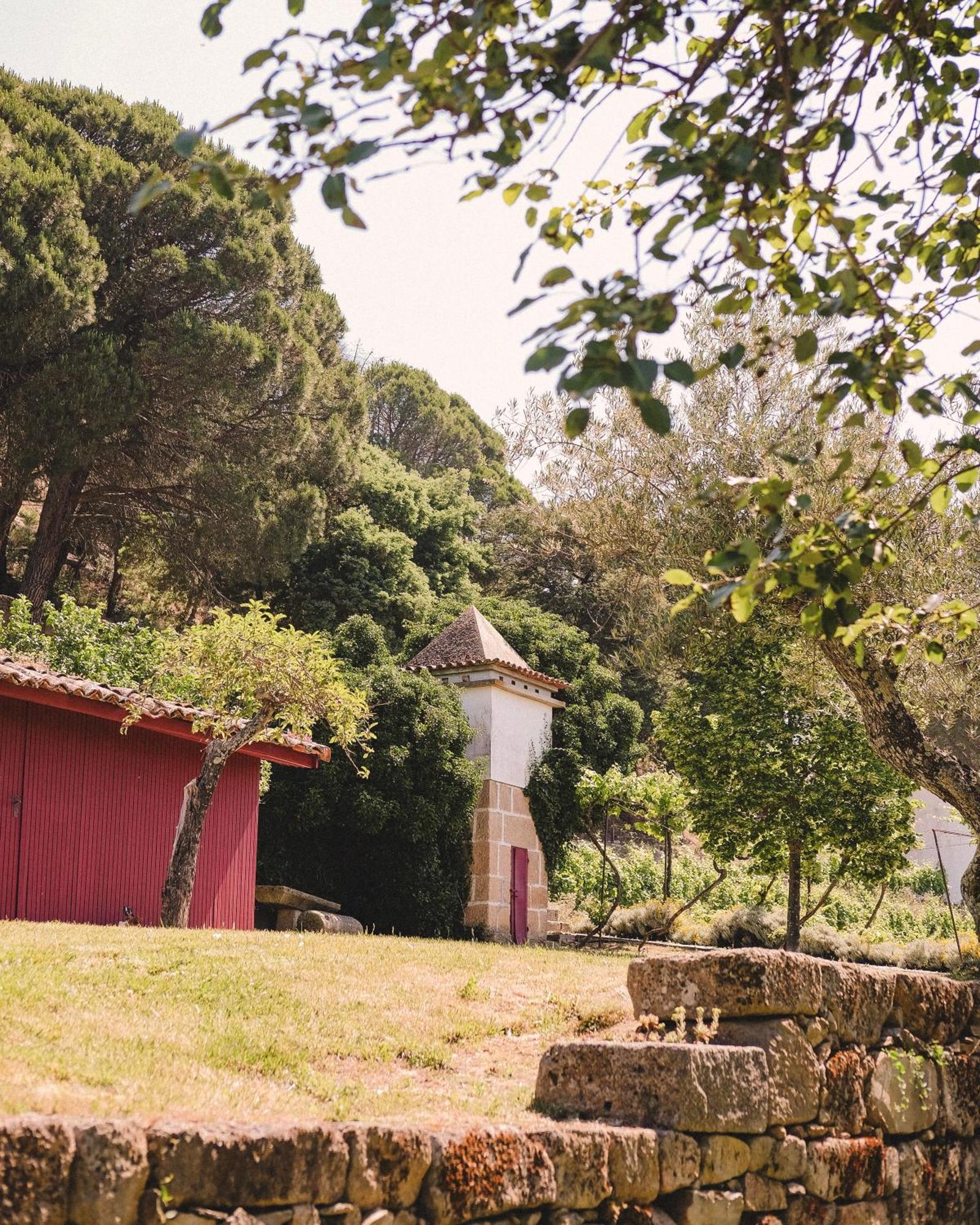 Casal De Tralhariz - Douro Valley エクステリア 写真