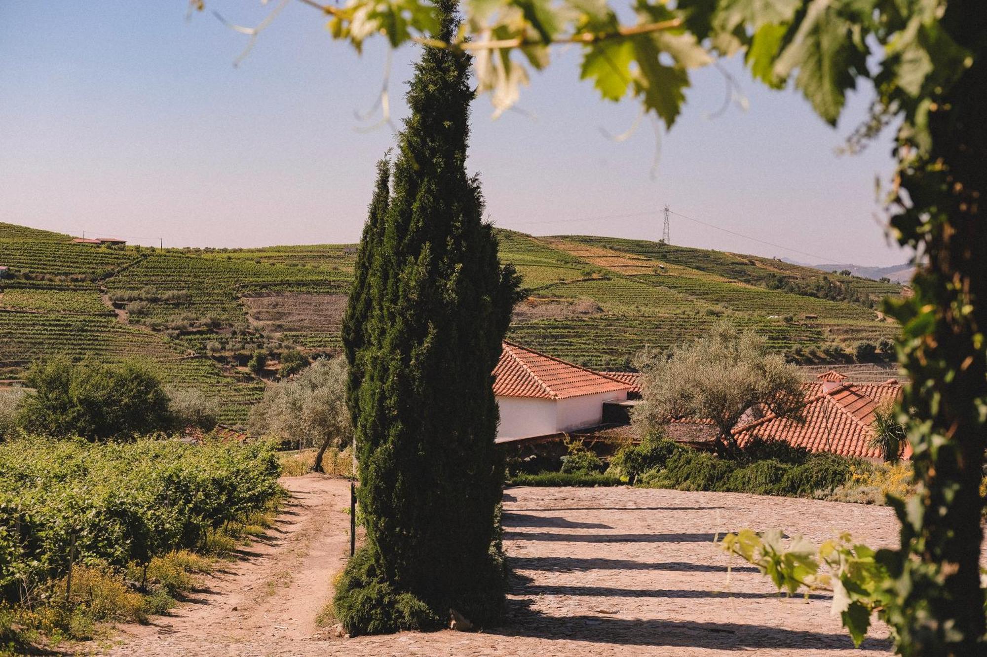Casal De Tralhariz - Douro Valley エクステリア 写真