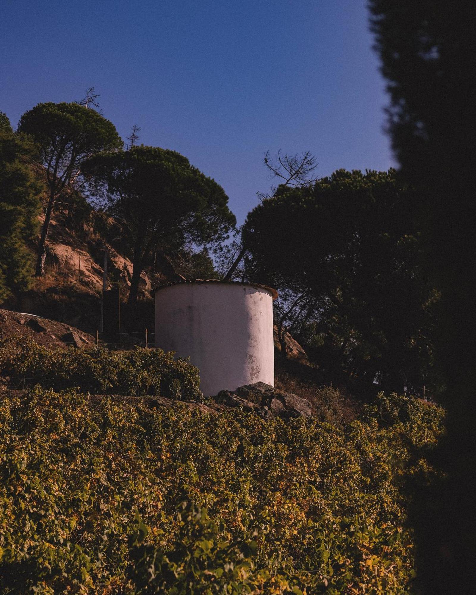 Casal De Tralhariz - Douro Valley エクステリア 写真